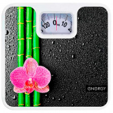 Весы ENERGY ENM-409D /003116
